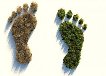 ecological-footprint-4123696_1920